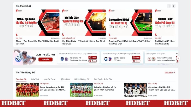 Cập nhật tin nóng mỗi ngày trên trang web