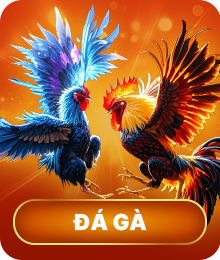 Đá gà HDBET